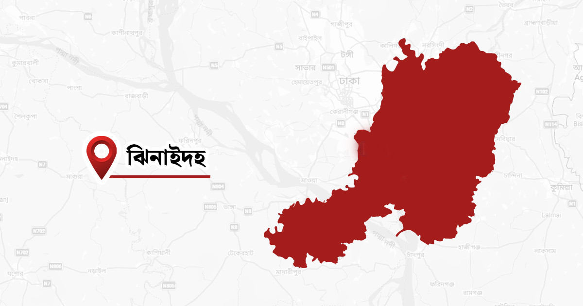 ঝিনাইদহে বিদ্যুৎস্পৃষ্টে প্রাণ গেল স্বামী-স্ত্রীর